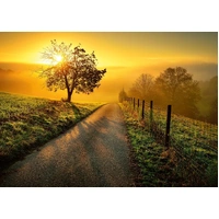 Ravensburger - Landscape In Morning Sun Puzzle 1000pc