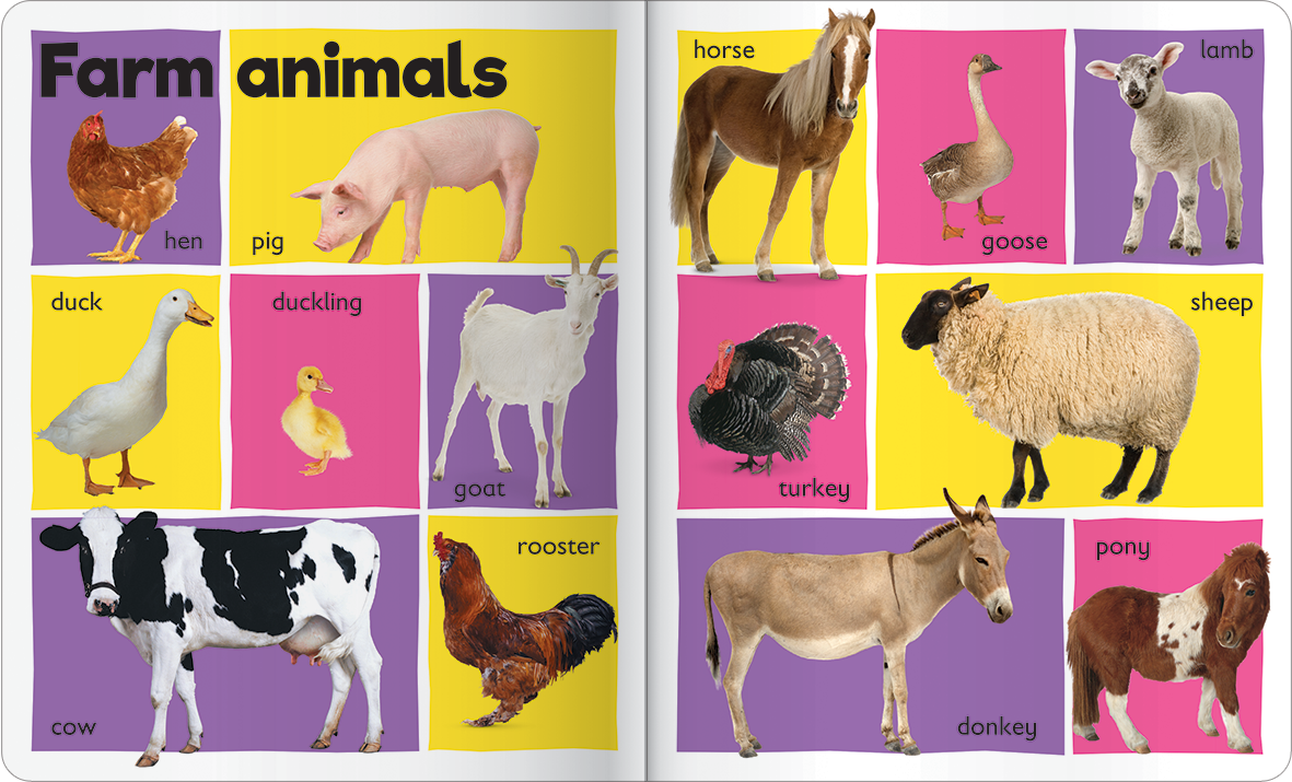Buy Hinkler 101 First Words Animals - 
