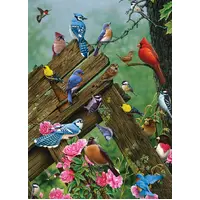 Cobble Hill - Birds of the Forest Puzzle 1000pc