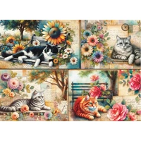 Delfy - Catnap In The Park Puzzle 1000pc