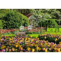 Ravensburger - Keukenhof Gardens, Netherlands Puzzle 1000pc