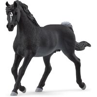 Schleich - Arab Stallion 13981