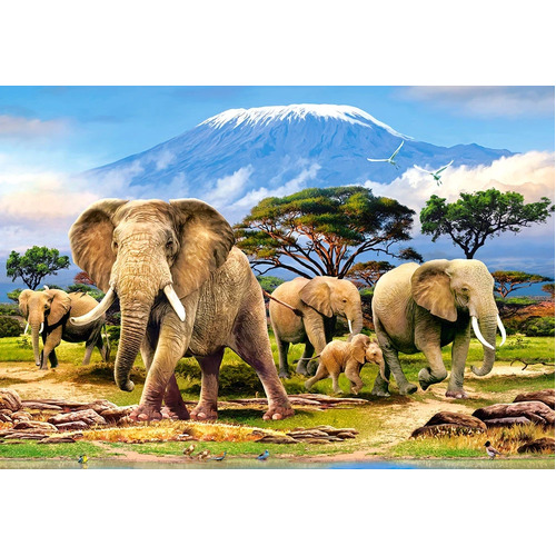 Castorland - Kilimanjaro Morning Puzzle 1000pc