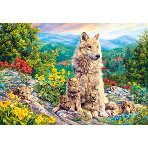 Castorland - New Generation Puzzle 1000pc