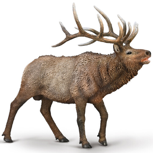 Collecta - Wapiti Elk 80021