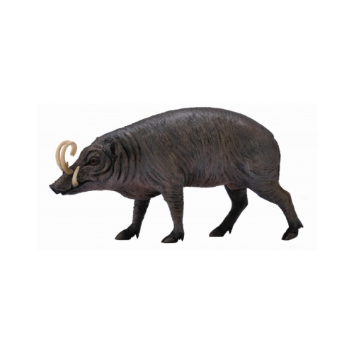 Collecta - Sulawesi Babirusa 88727