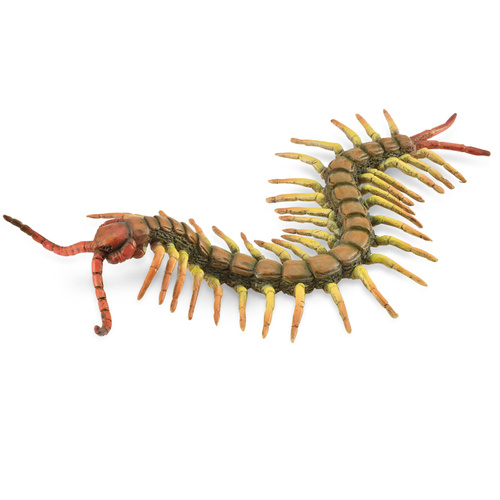 Collecta - Centipede 88885