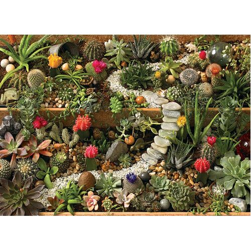 Cobble Hill - Succulent Garden Puzzle 1000pc