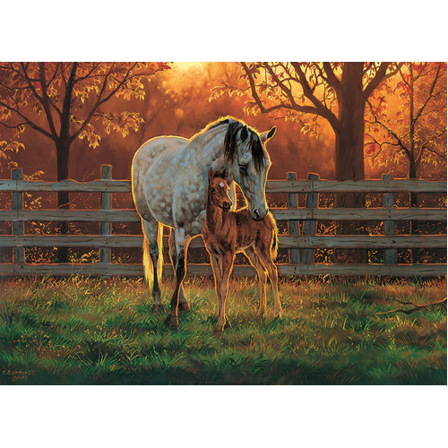 Cobble Hill - Quiet Time Puzzle 500pc