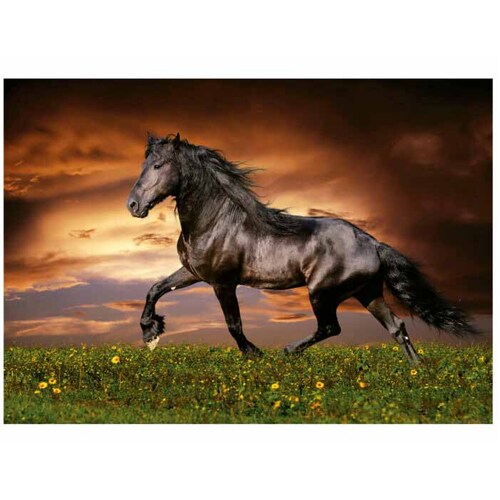 Educa -Trotting Horse Puzzle 1000pc