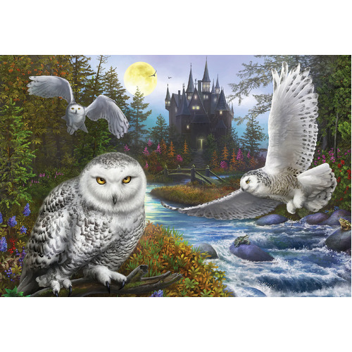 Holdson - Gallery, Snowy Owls Large Piece Puzzle 300pc