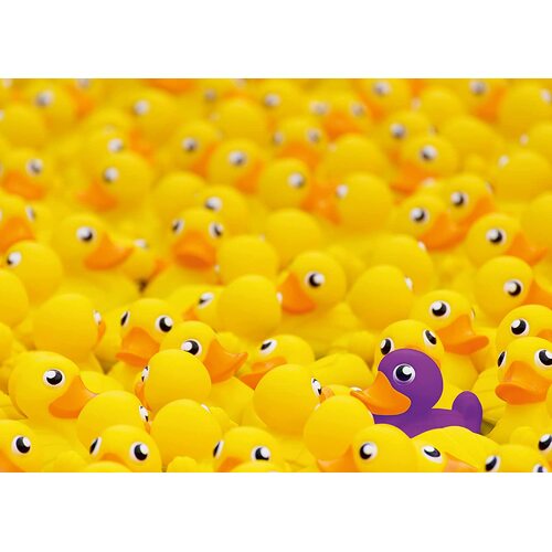 Ravensburger - Rubber Ducks Challenge Puzzle 1000pc