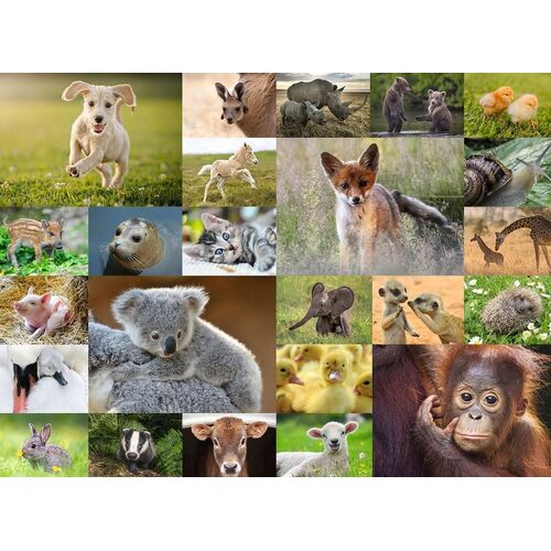 Ravensburger - Cute Animal Babies Puzzle 200pc