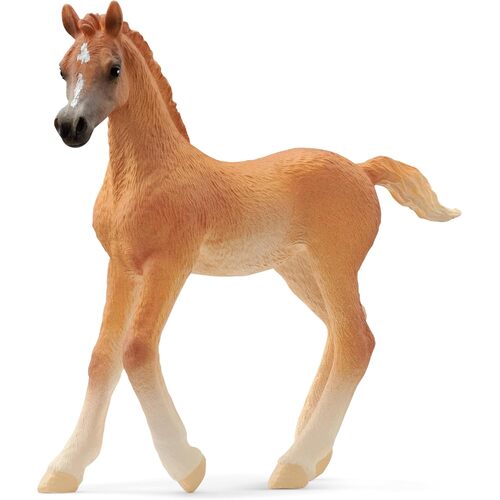 Schleich - Arab Foal 13984