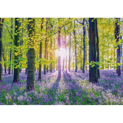 Schmidt - Tranquil Bluebell Woods Puzzle 1000pc